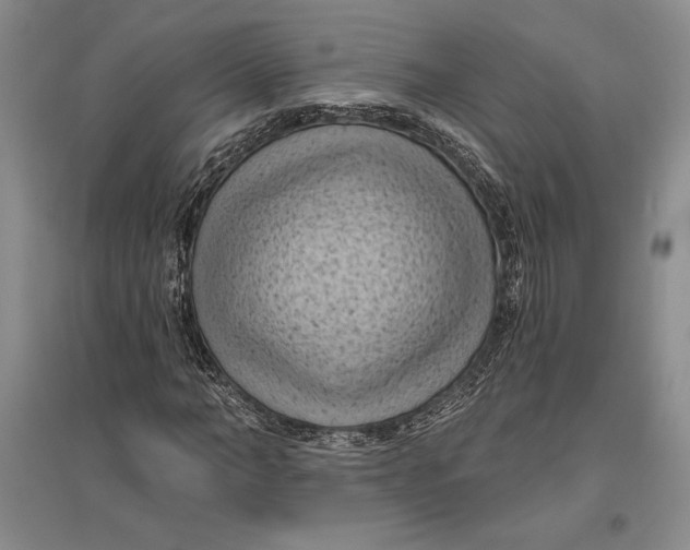 X0000096680966200802261512