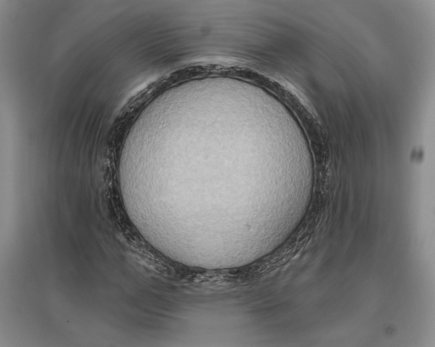 X0000096680967200802261512