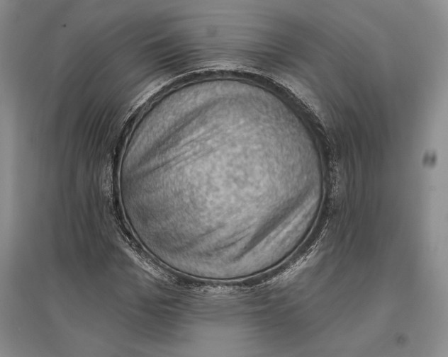 X0000096680969200802261512