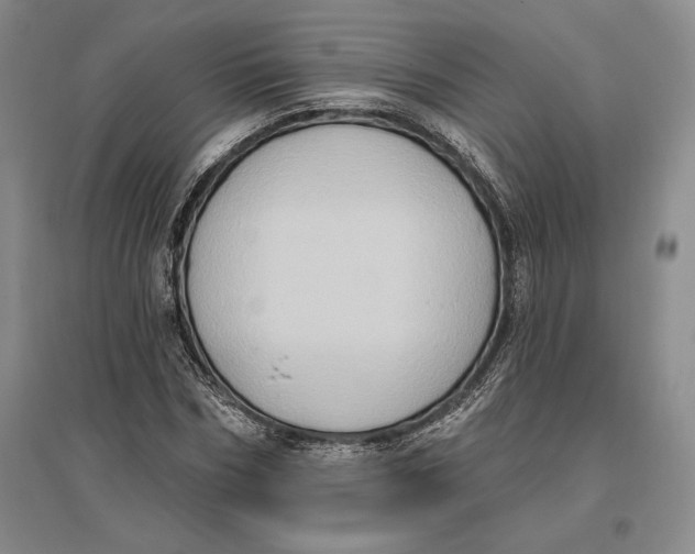 X0000096680970200802261512