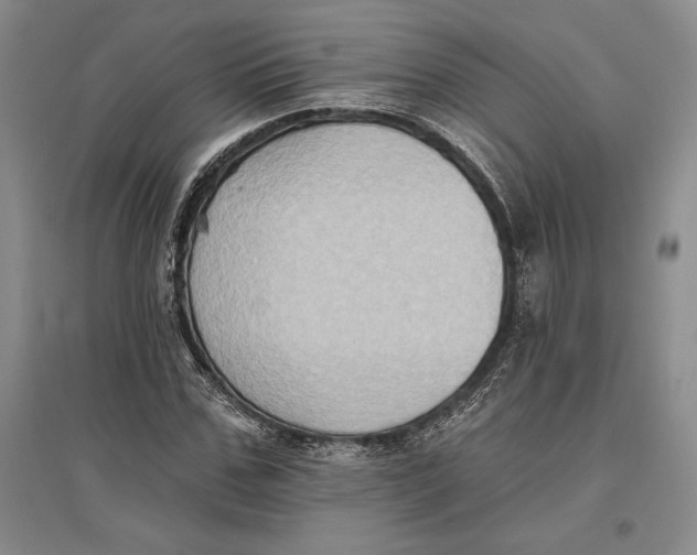 X0000096680971200802261512