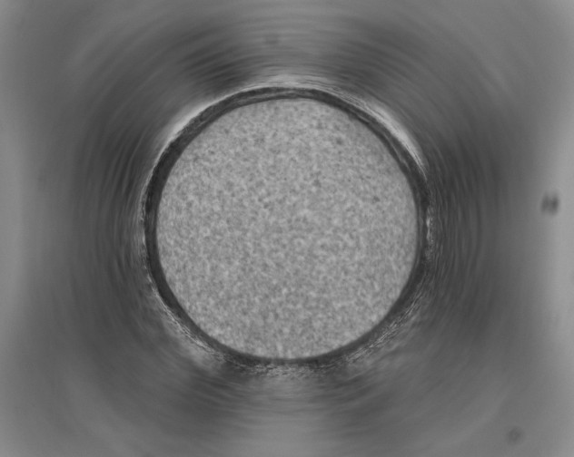 X0000096680972200802261512