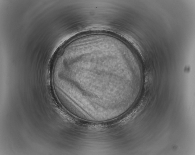 X0000096680973200802261512