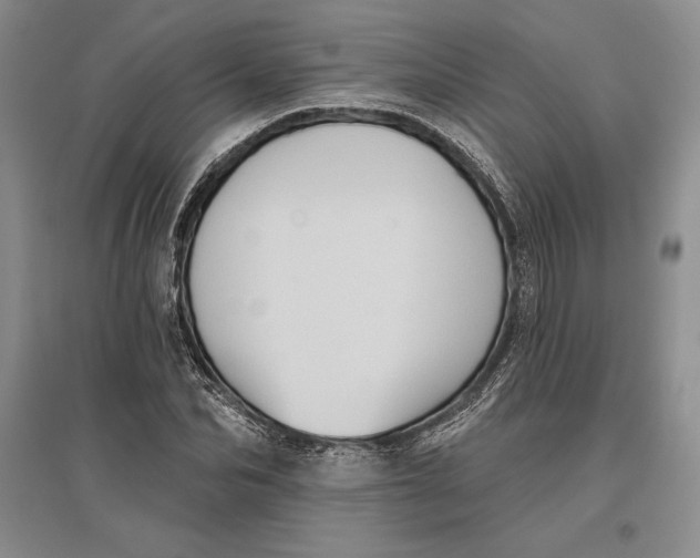 X0000096680974200802261512