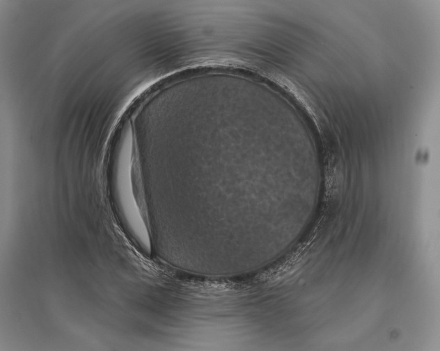 X0000096680975200802261512