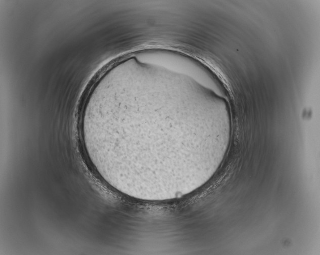 X0000096680976200802261512