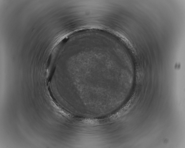 X0000096680977200802261512