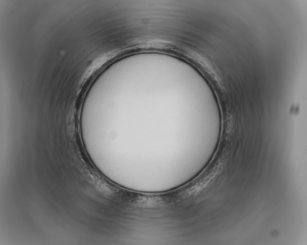 X0000096680978200802261512