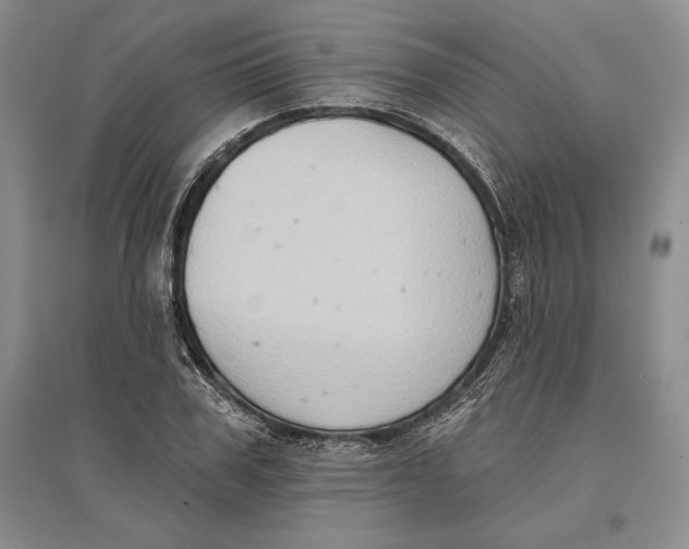 X0000096680979200802261512