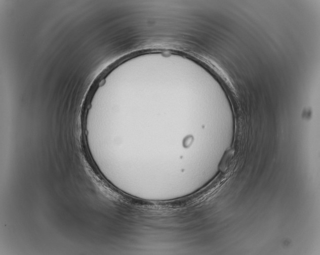 X0000096680980200802261512