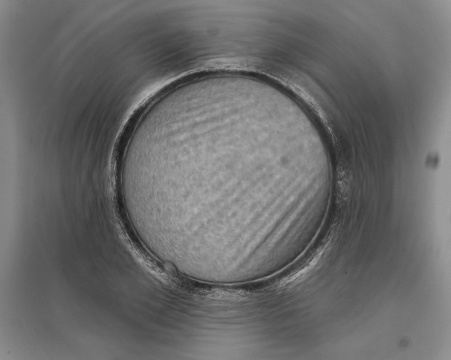 X0000096680981200802261512