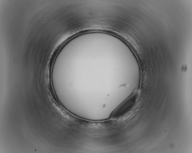 X0000096680982200802261512