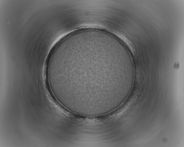 X0000096680983200802261512