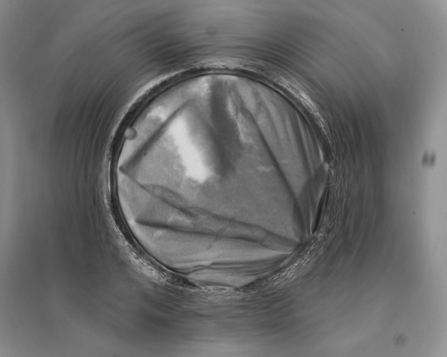 X0000096680984200802261512