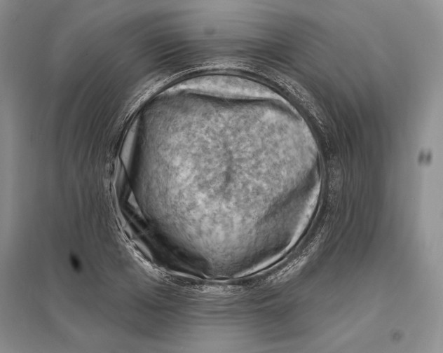 X0000096680985200802261512