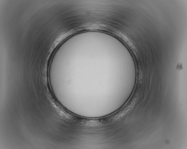 X0000096680986200802261512