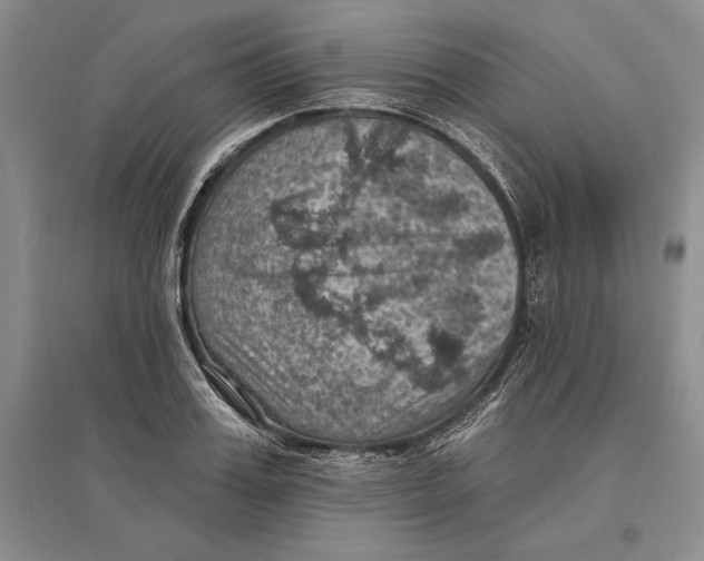 X0000096680987200802261512