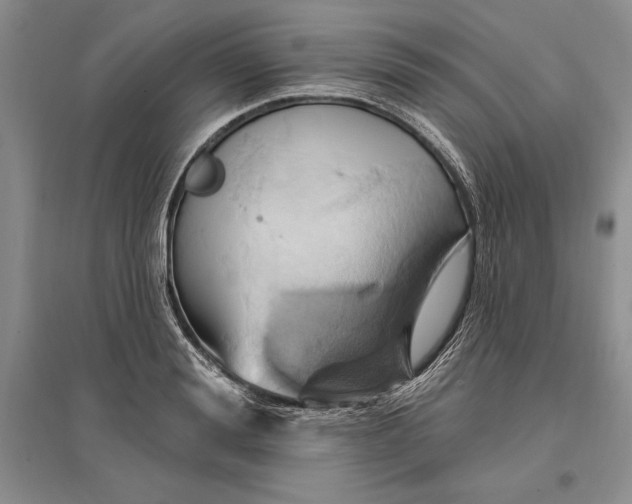 X0000096680988200802261512