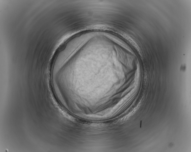 X0000096680989200802261512