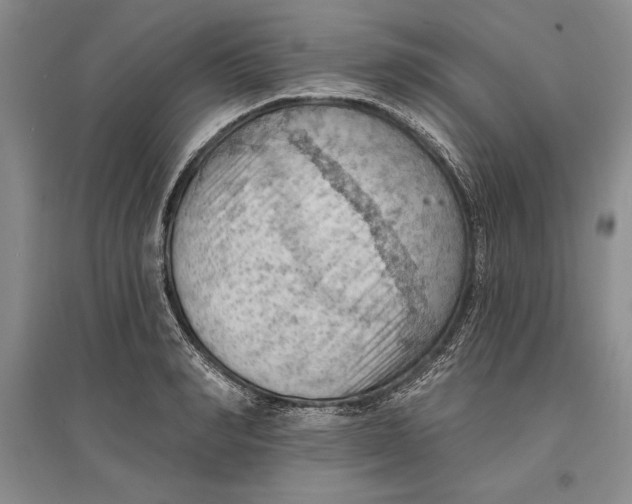 X0000096680990200802261512