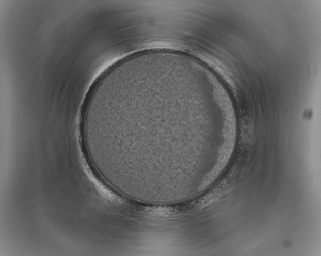 X0000096680991200802261512