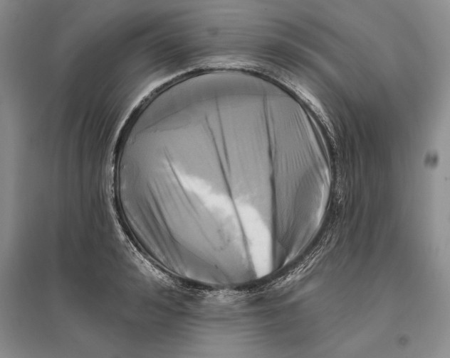 X0000096680992200802261512