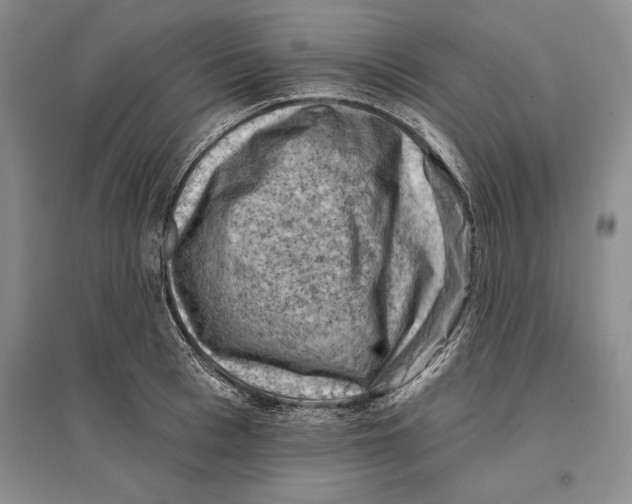 X0000096680993200802261512