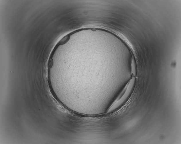 X0000096680996200802261512