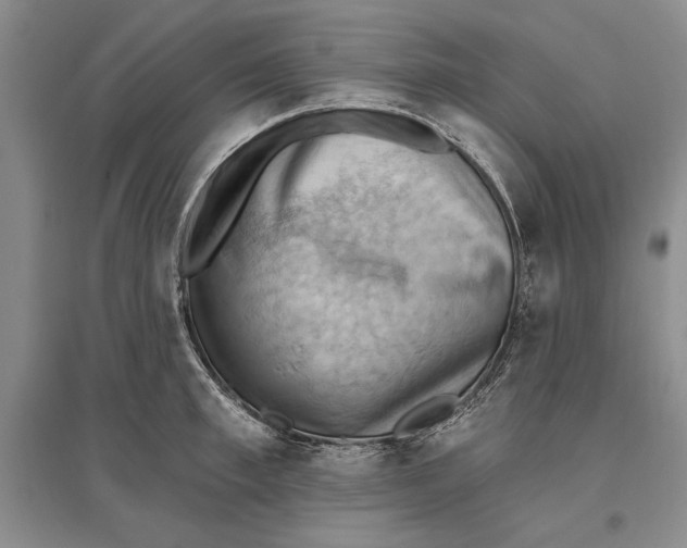 X0000096680997200802261512