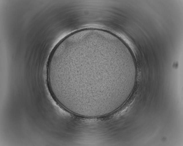 X0000096680999200802261512