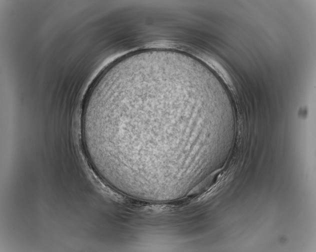 X0000096681000200802261512