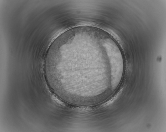 X0000096681001200802261512