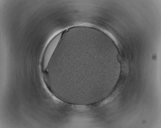 X0000096681007200802261511