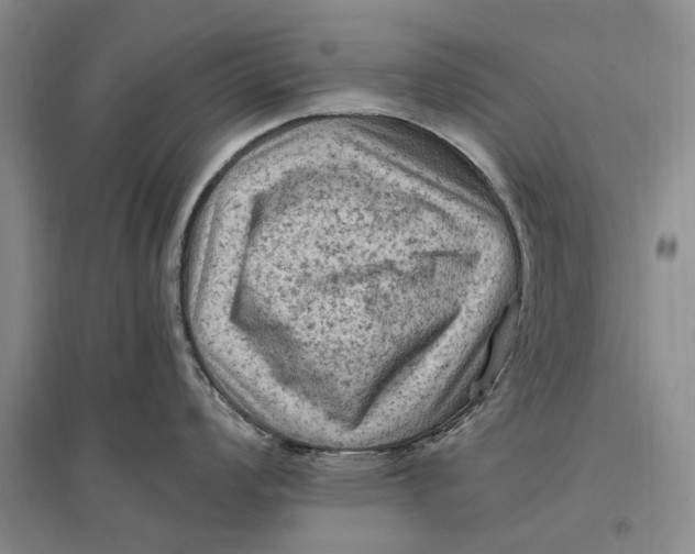 X0000096681008200802261511