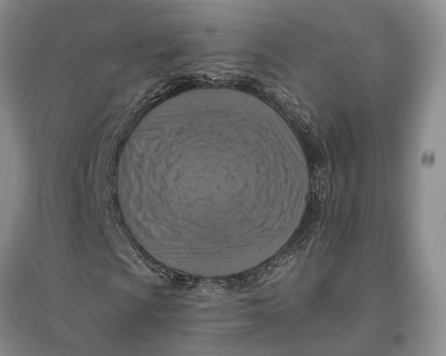 X0000096681009200802261511