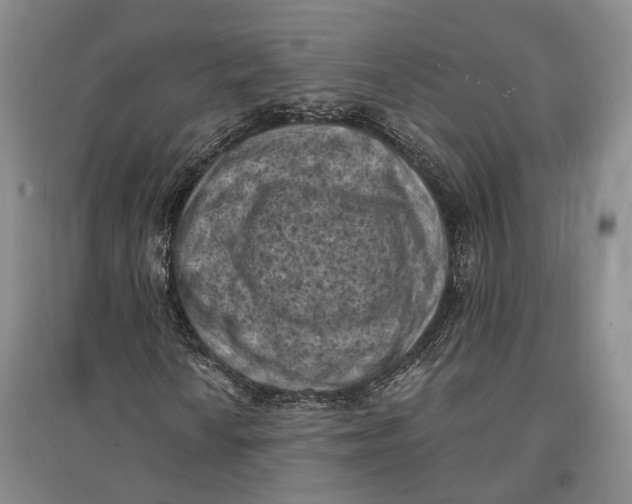 X0000096681010200802261511