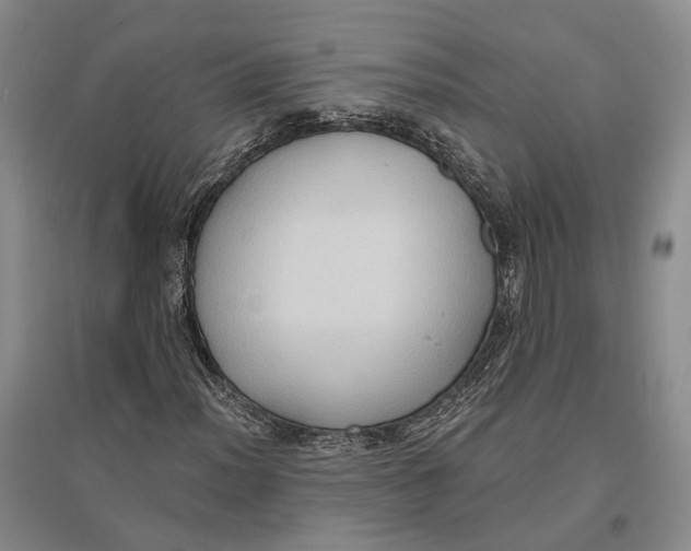X0000096681012200802261511