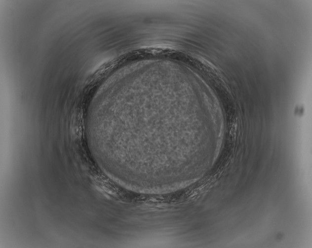 X0000096681014200802261511