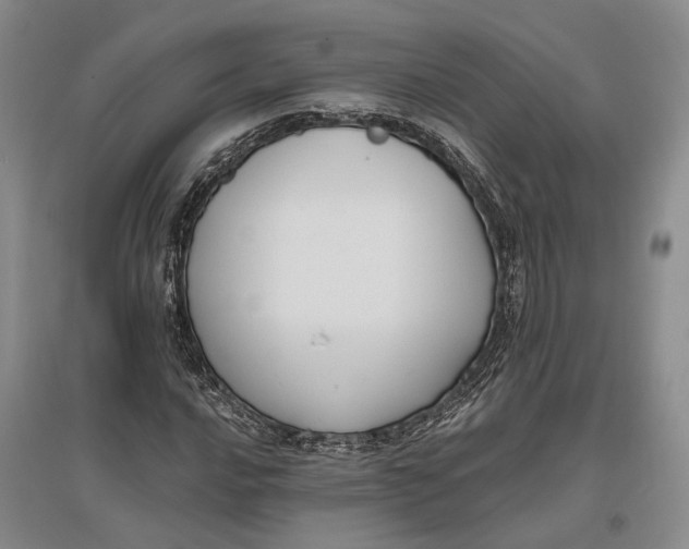 X0000096681016200802261511