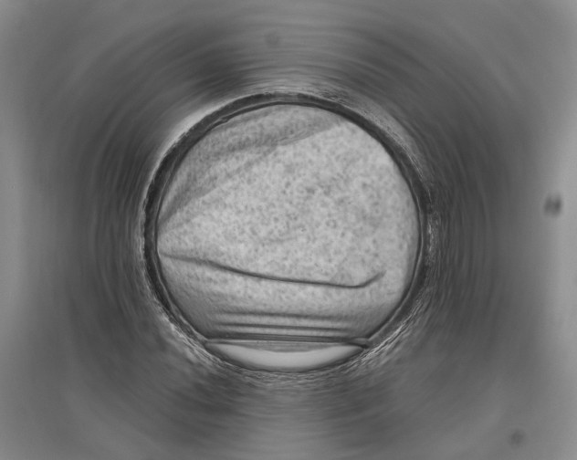 X0000096681020200802261511