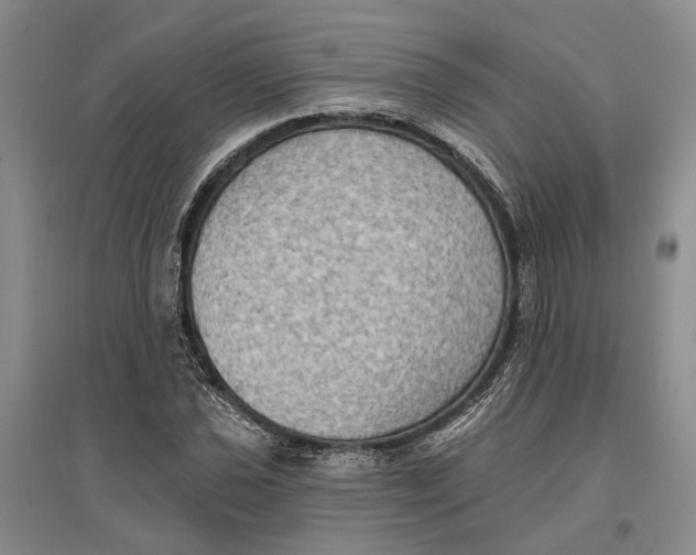 X0000096681021200802261511