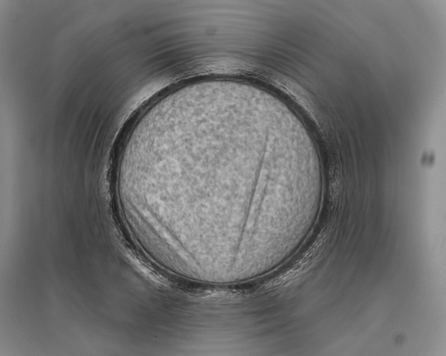 X0000096681026200802261511