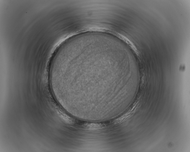 X0000096681027200802261511