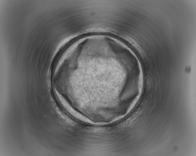 X0000096681030200802261511