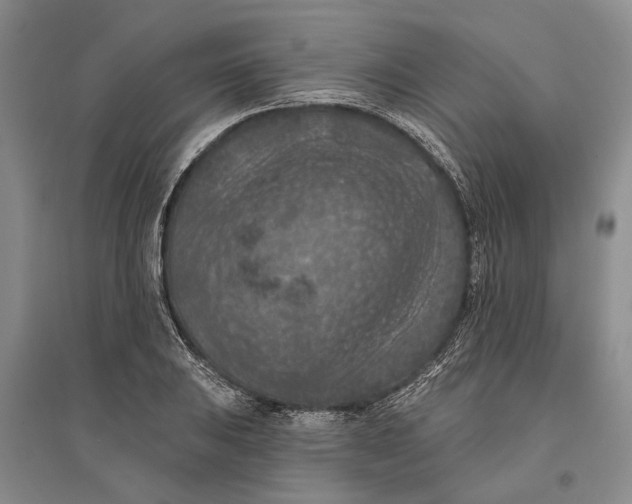 X0000096681031200802261511