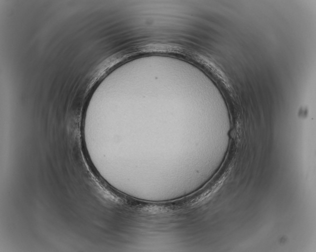 X0000096681033200802261511