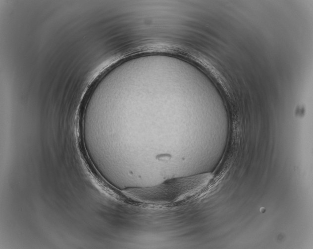 X0000096681034200802261511