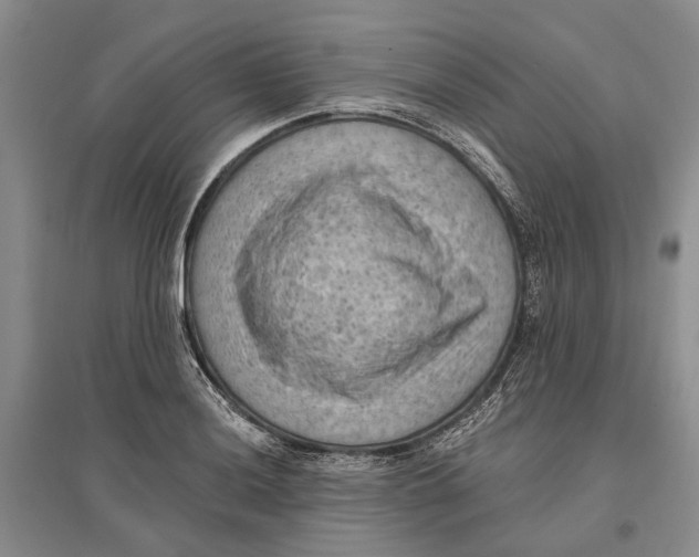 X0000096681036200802261511