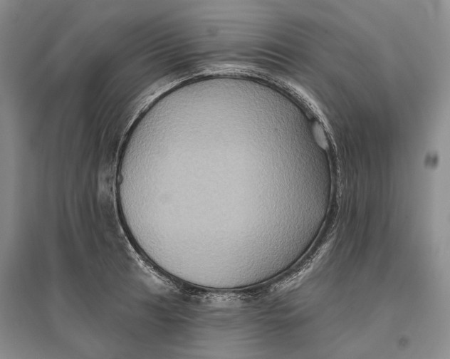 X0000096681041200802261511