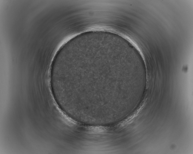 X0000096681045200802261511